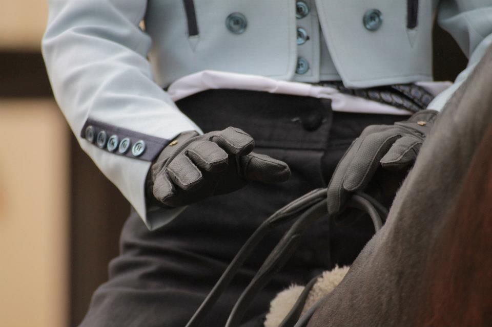cheval dressage gants