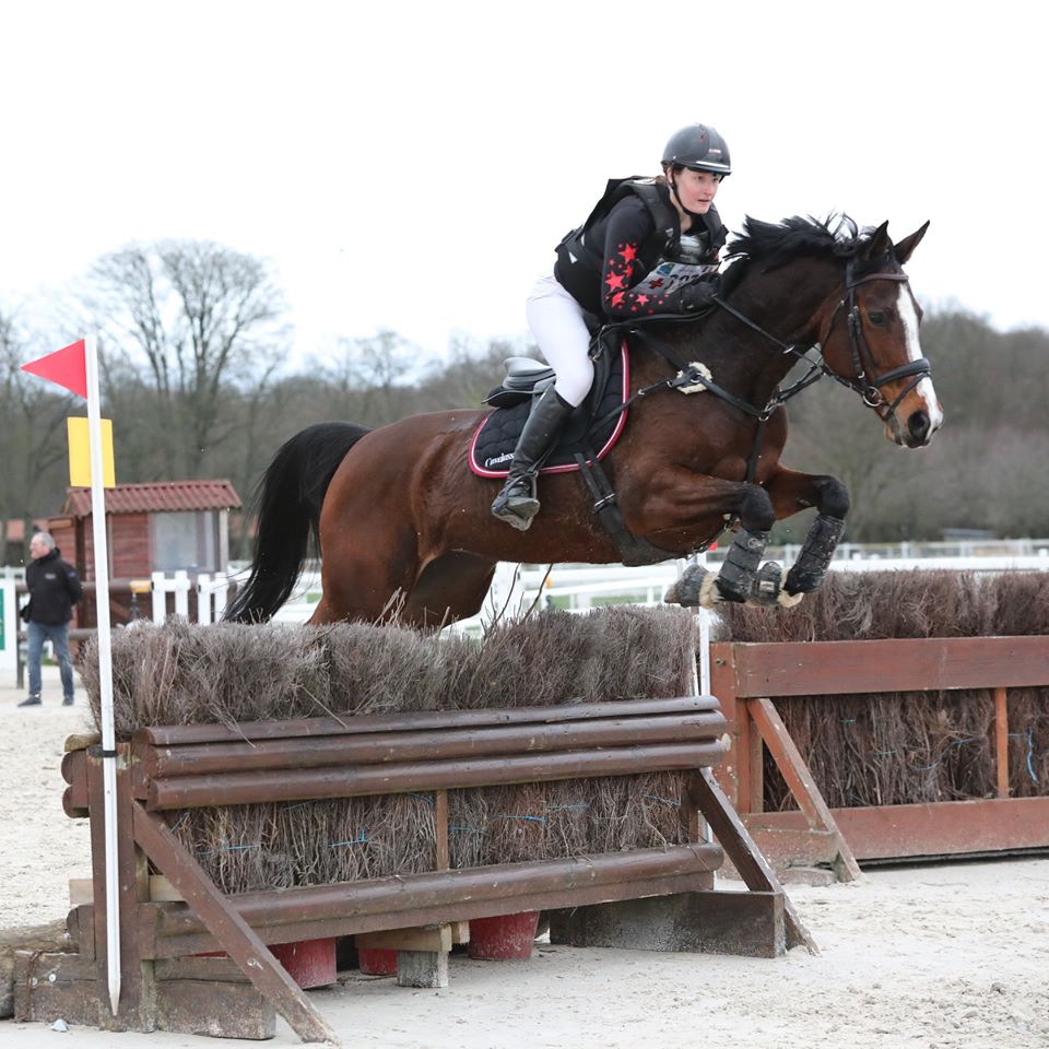 cross derby équitation