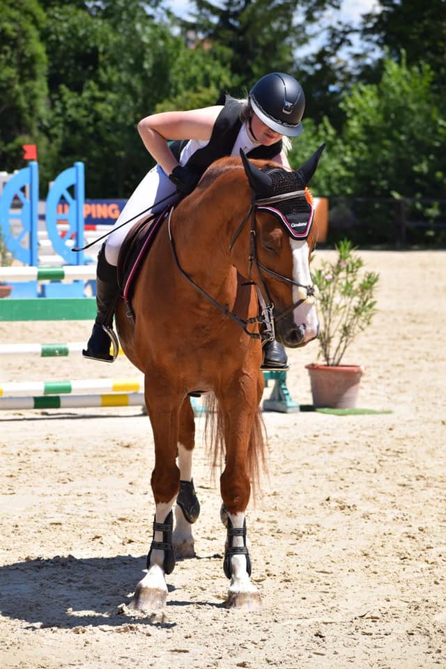 cheval caresse concours