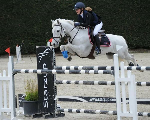 Poney de CSO