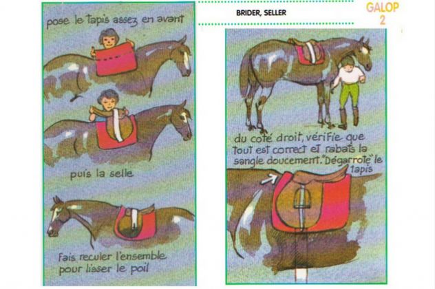 saddle-fitting-bien-seller