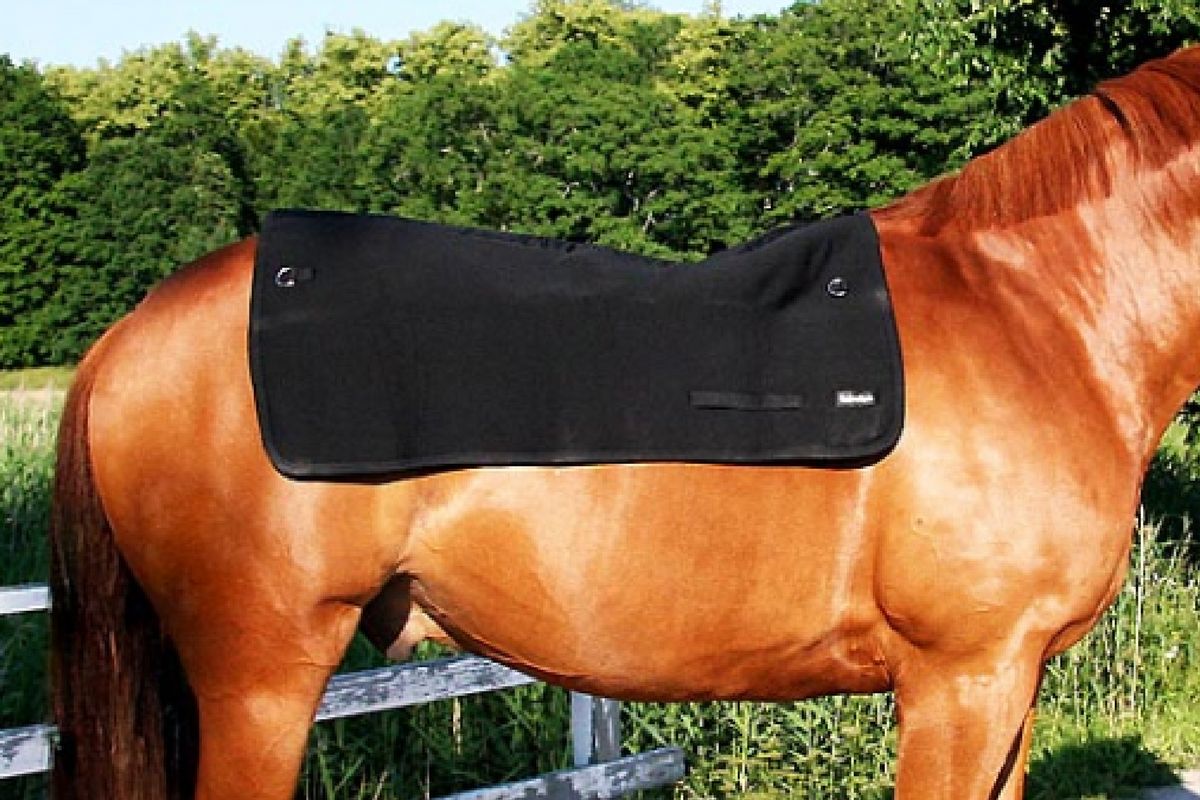 chauffer-le-dos-de-son-cheval