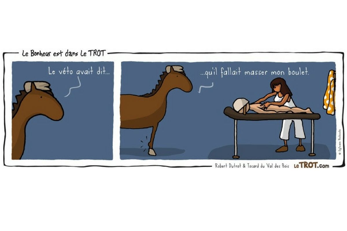 saddle-fitting-posture(s)