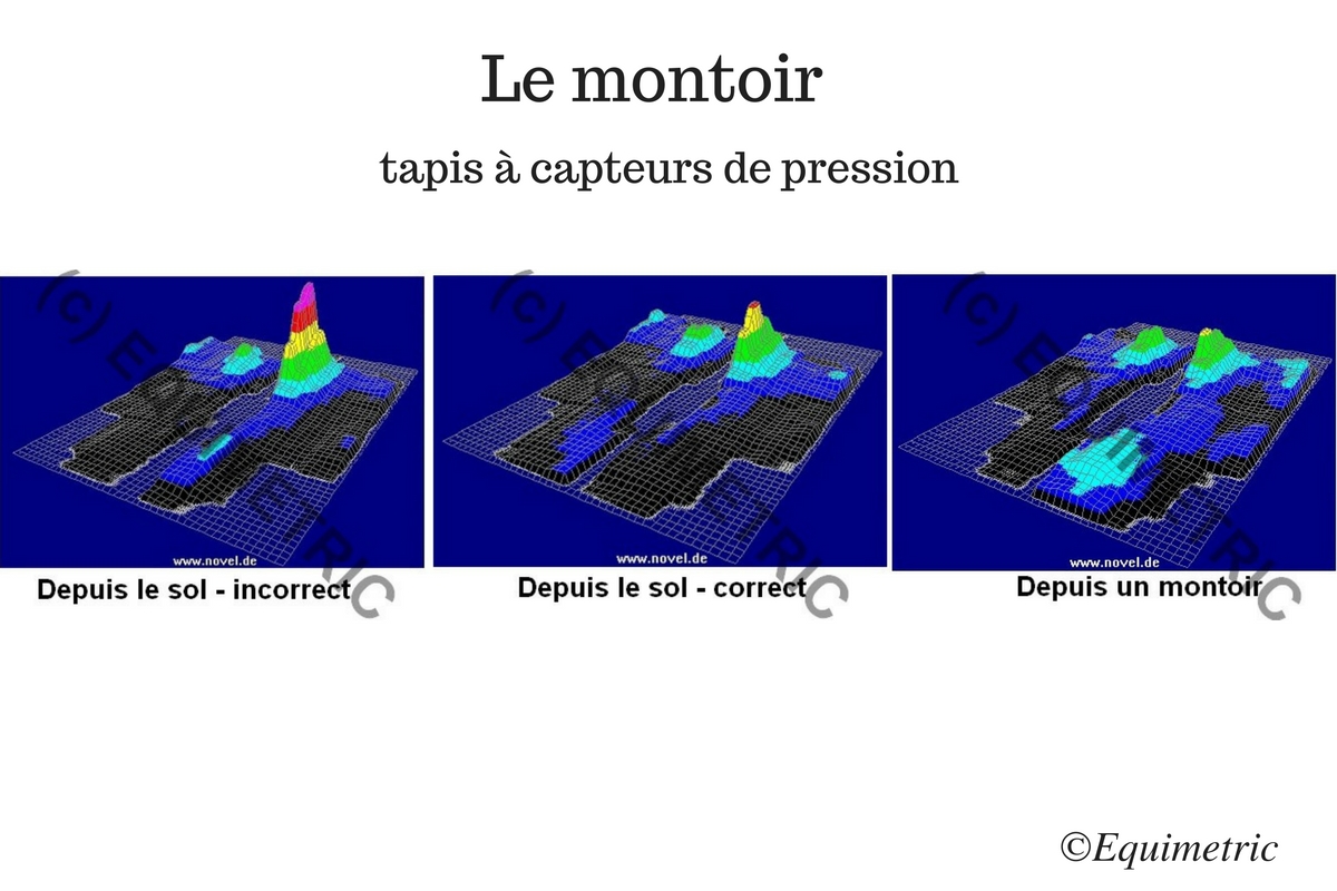 saddle-fitting-le-montoir