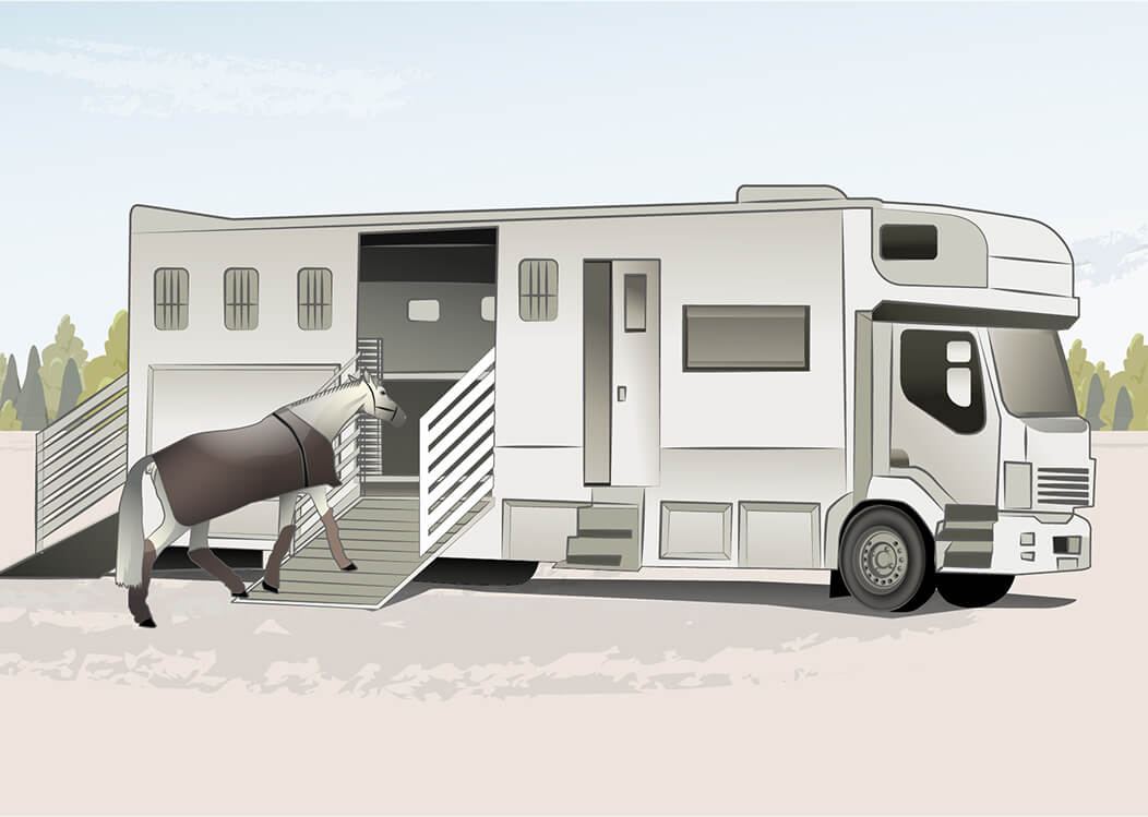 Assurance camion vl