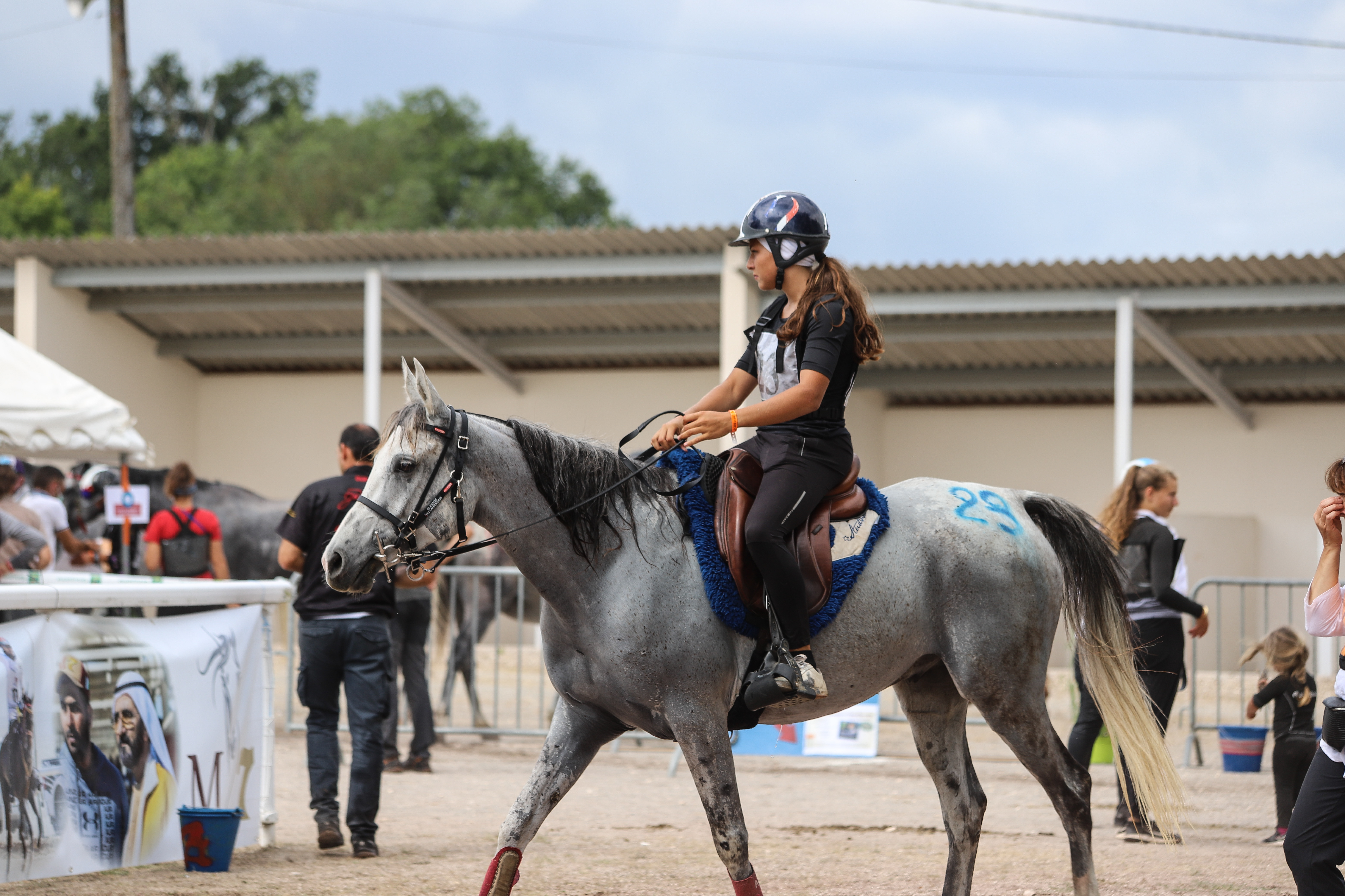 endurance départ cheval