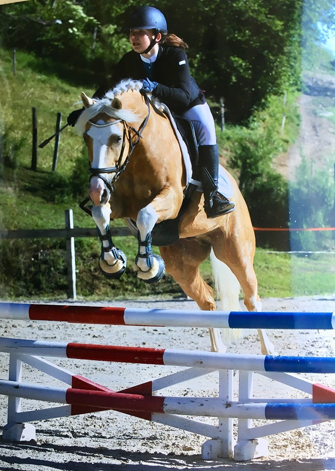 cso saut obstacle poney
