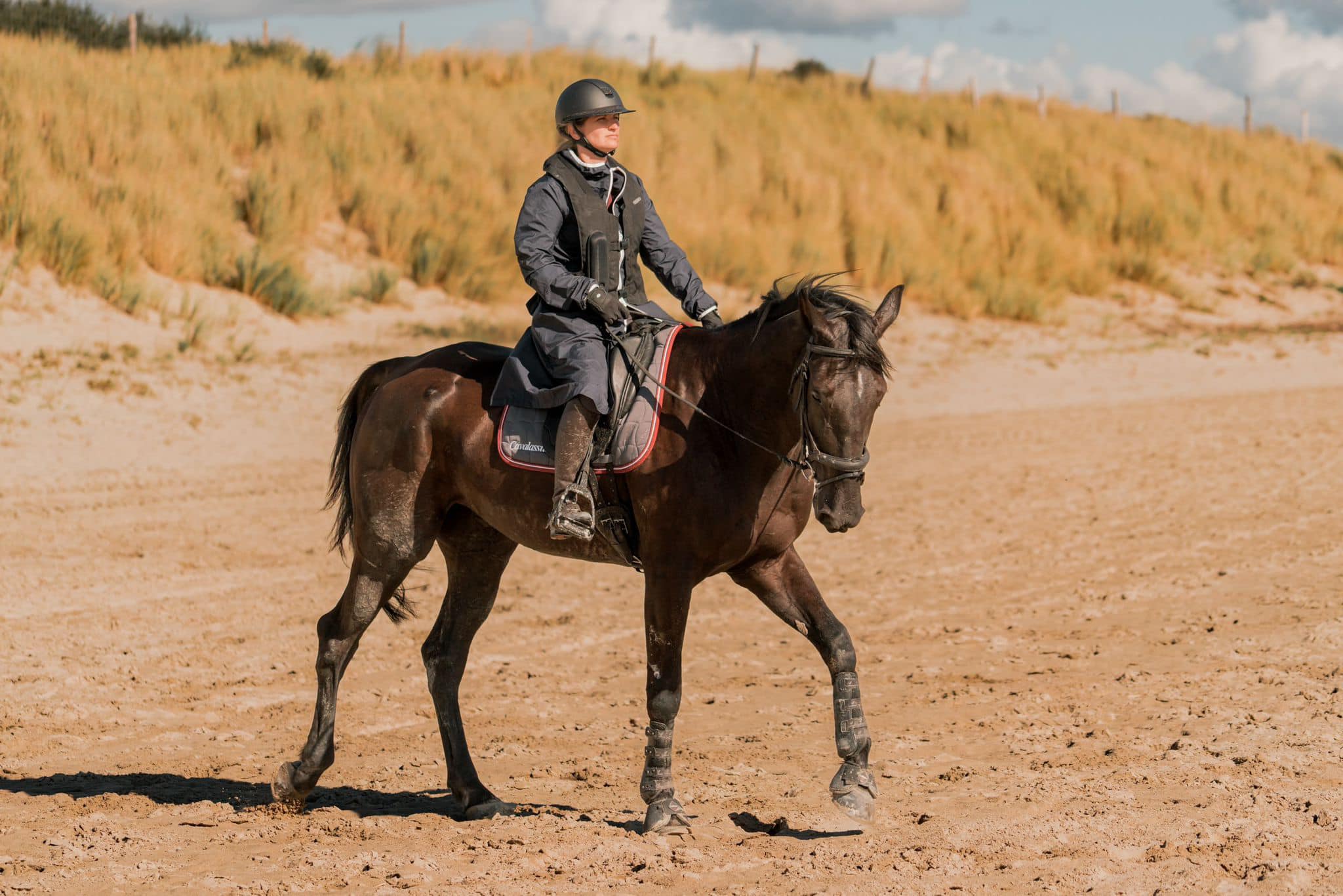 cheval plage balade