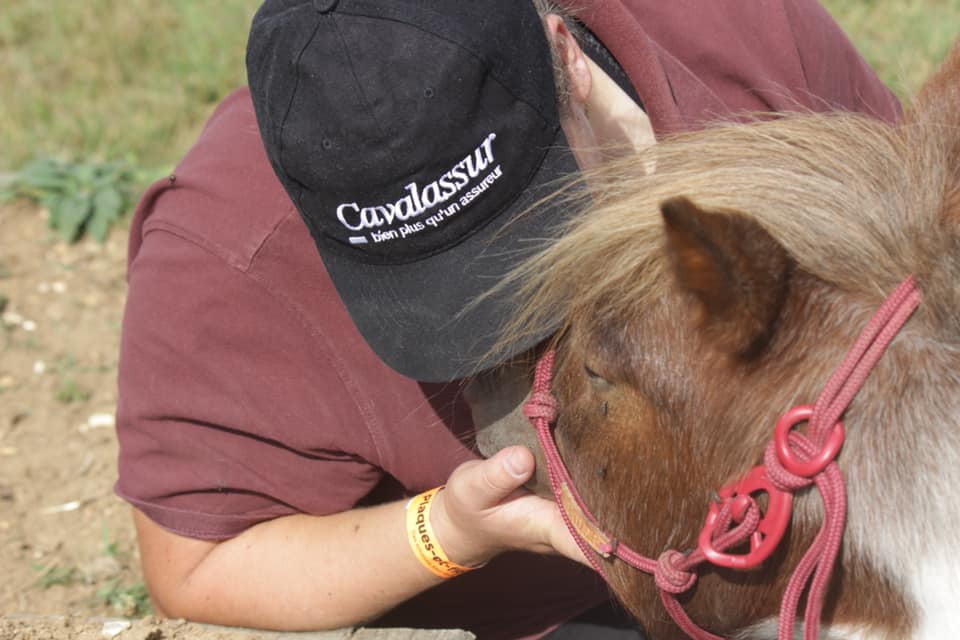 poney calin ethologie