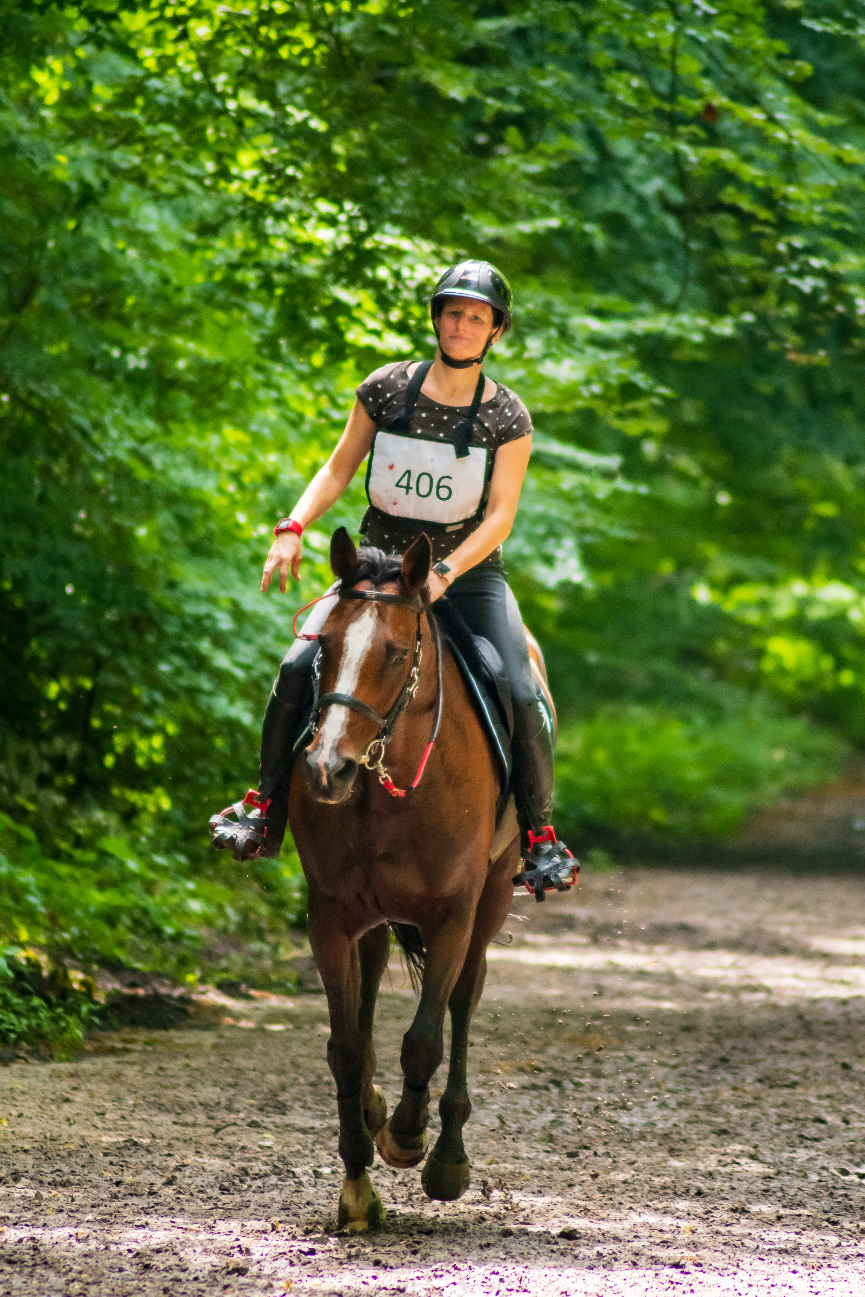 cheval endurance course