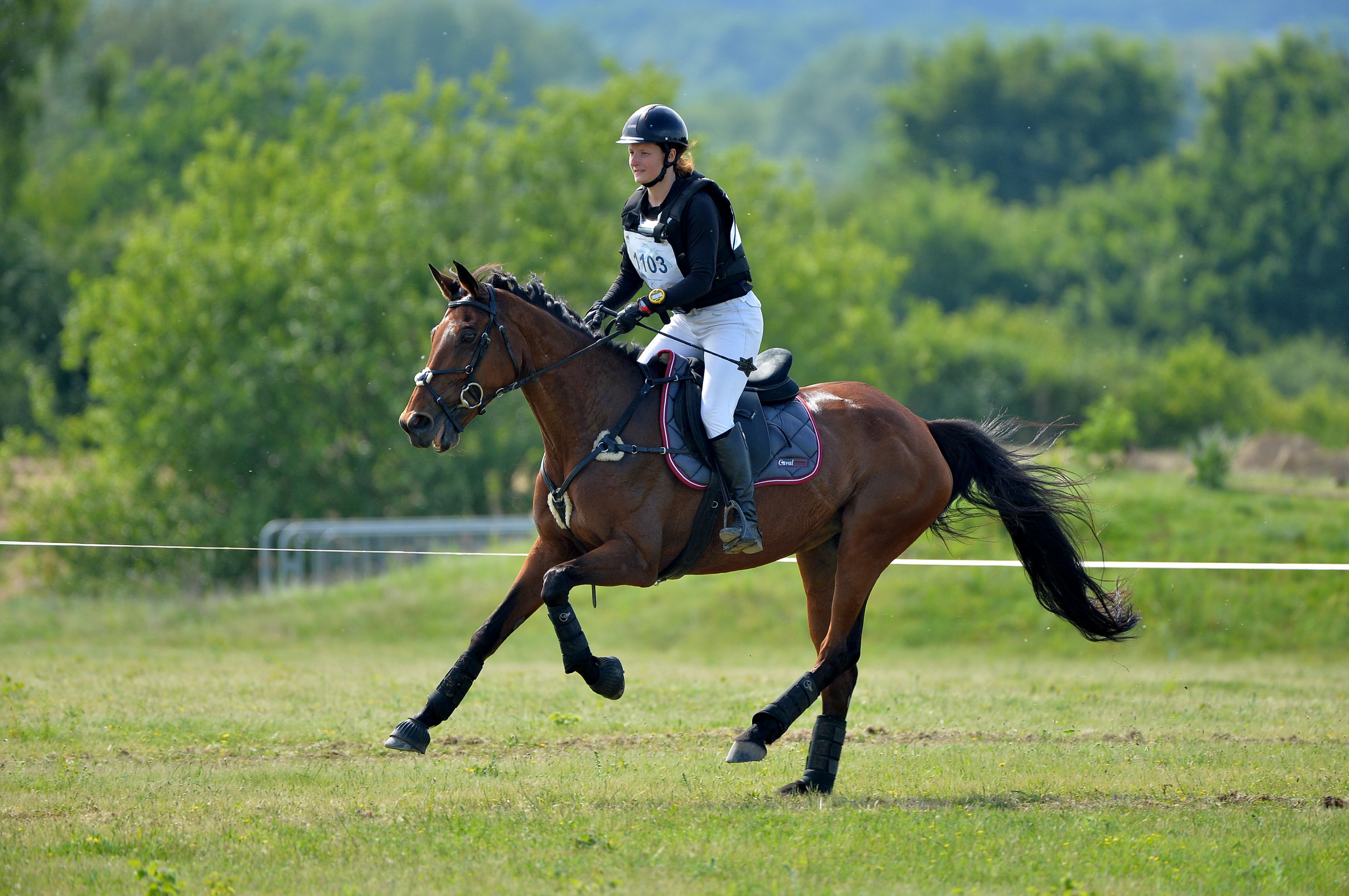 cheval galop étrier