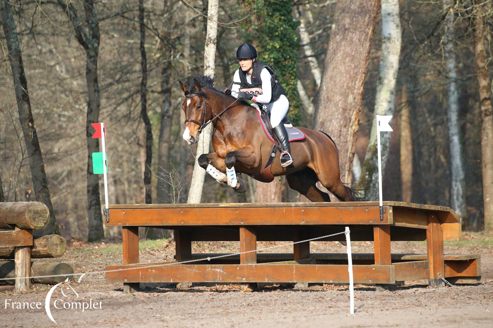 cheval cross concours complet