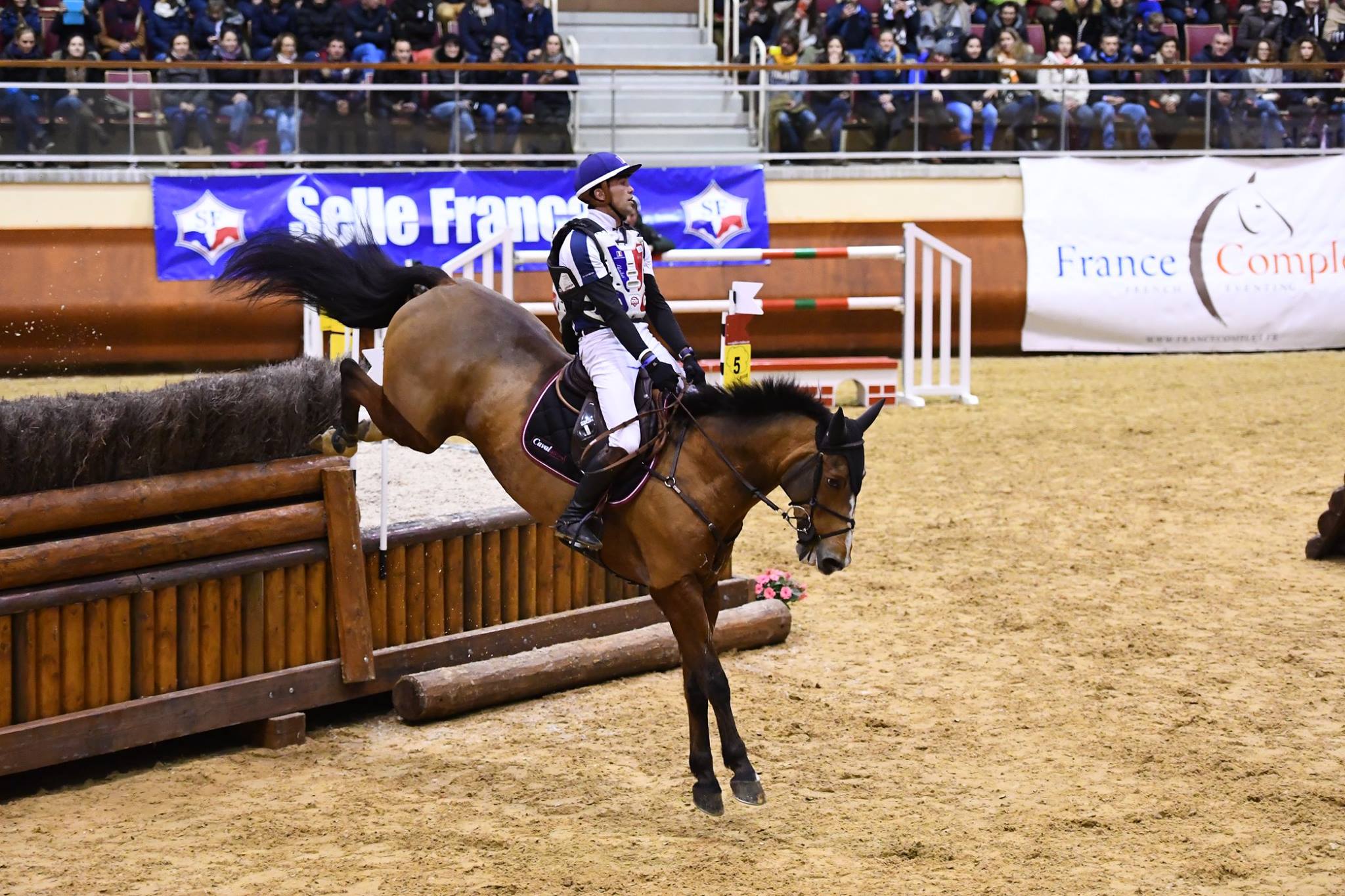 cross indoor cheval