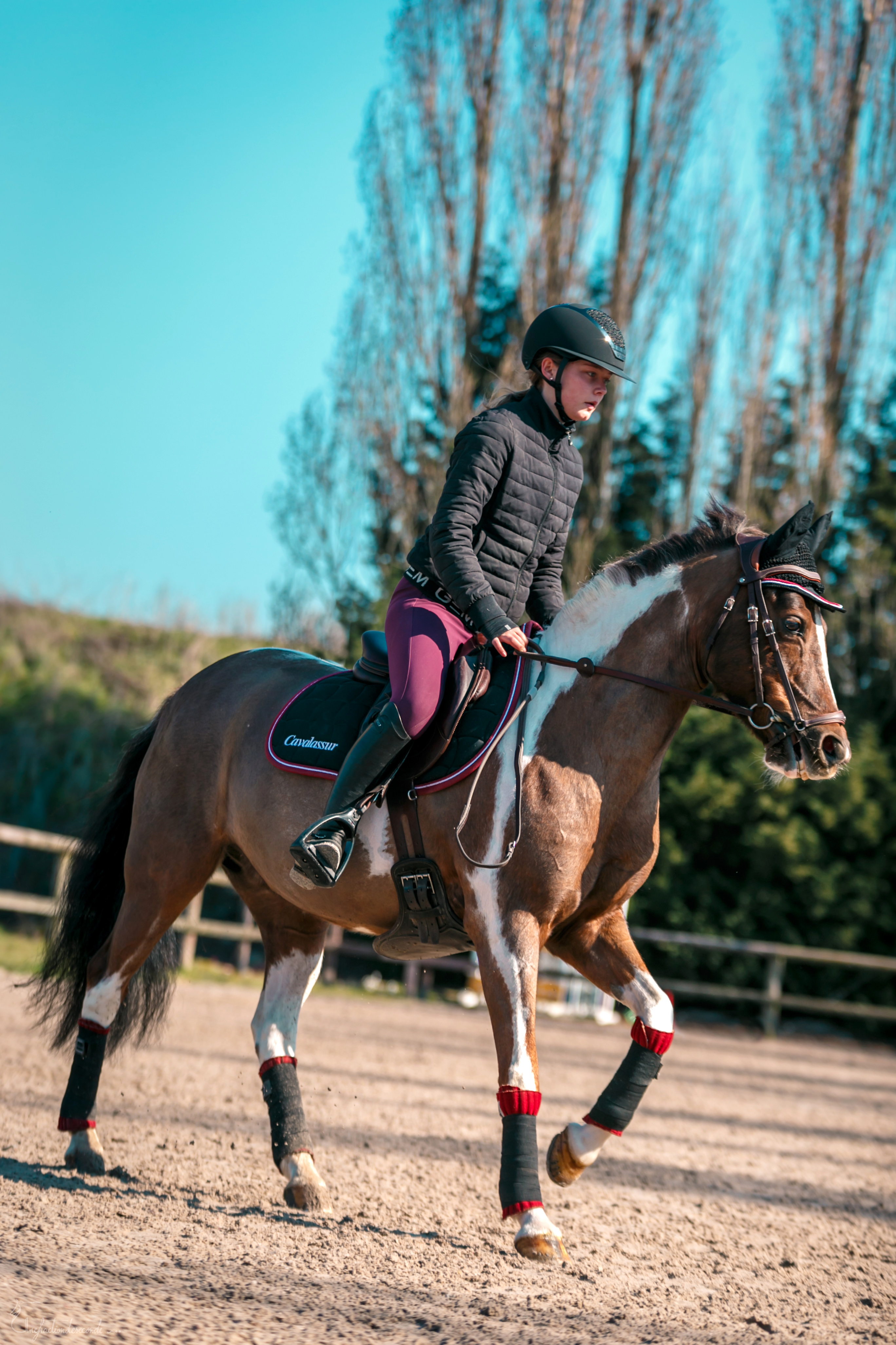 poney galop cavalière