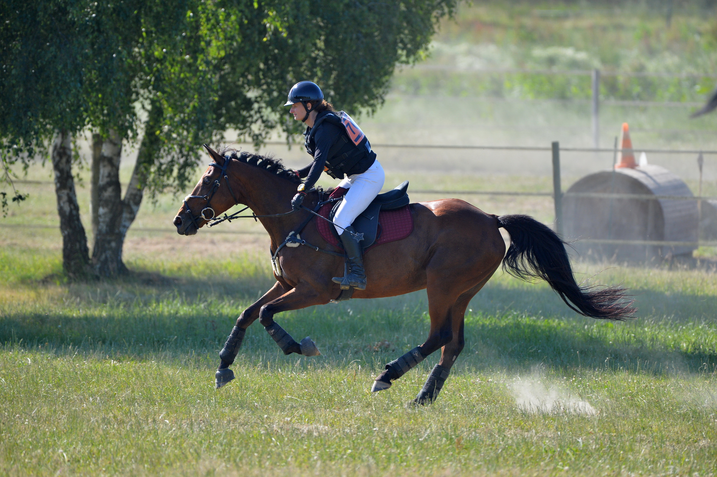 cheval galop cross