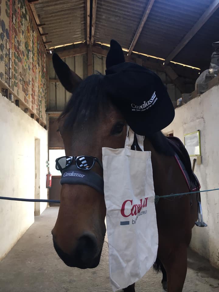 cheval lunettes sac casquette