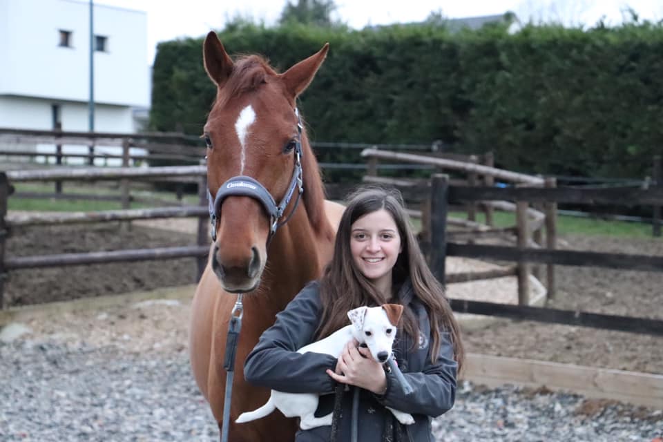 cheval chien cavalière