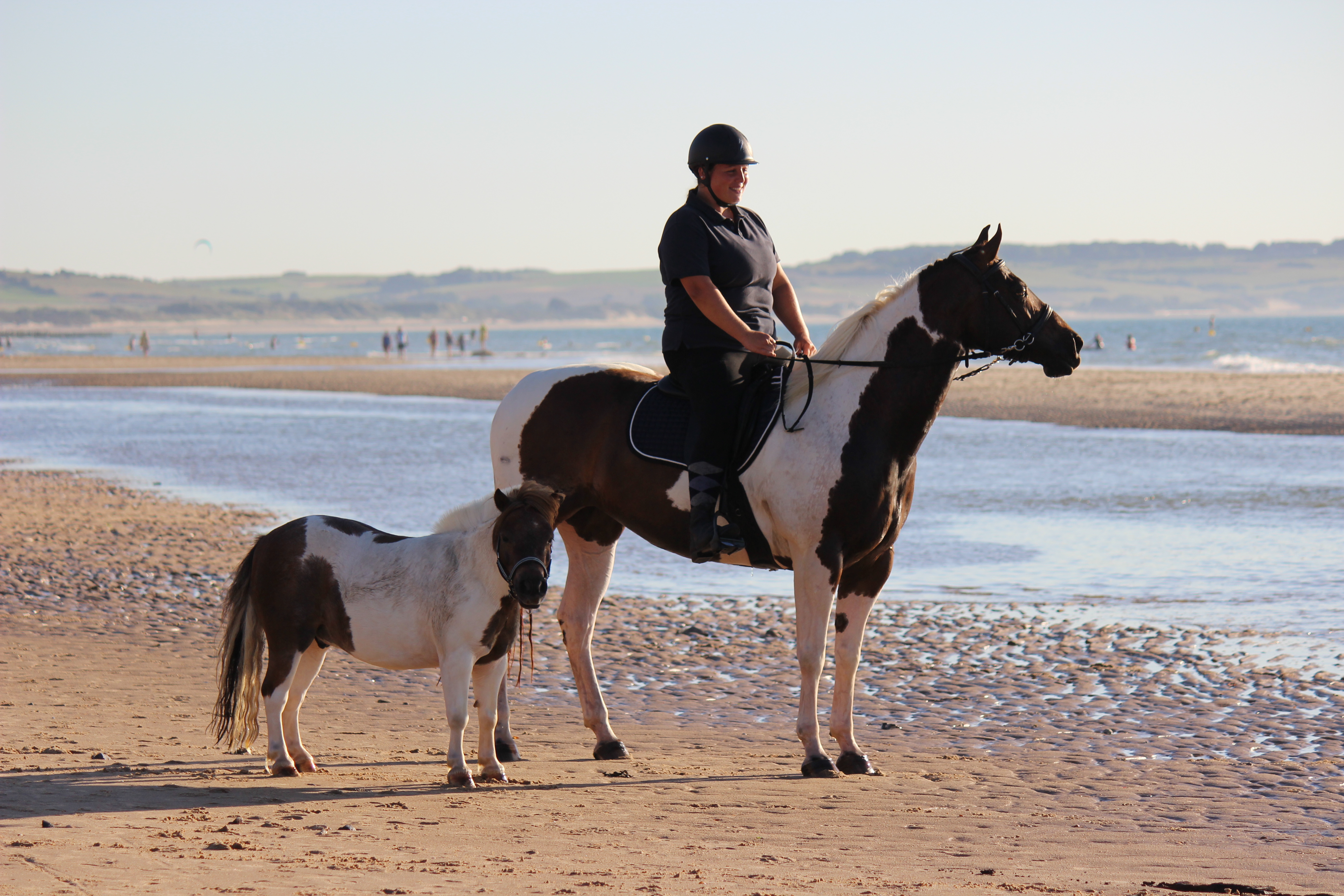 cheval poney plage