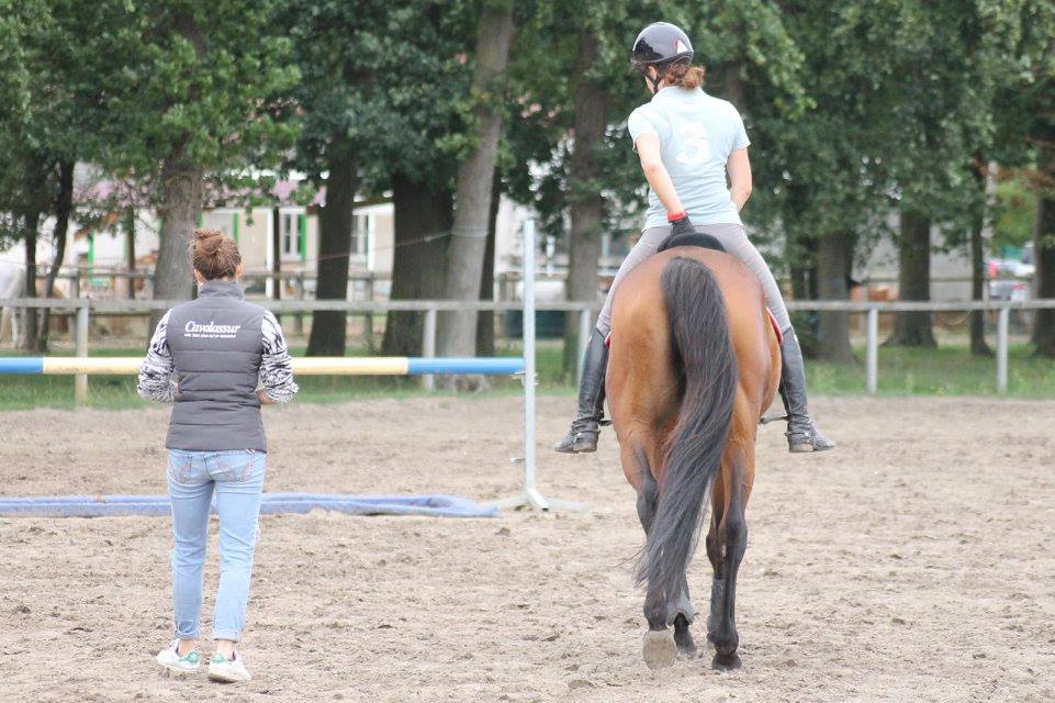 cheval cavalier jumping