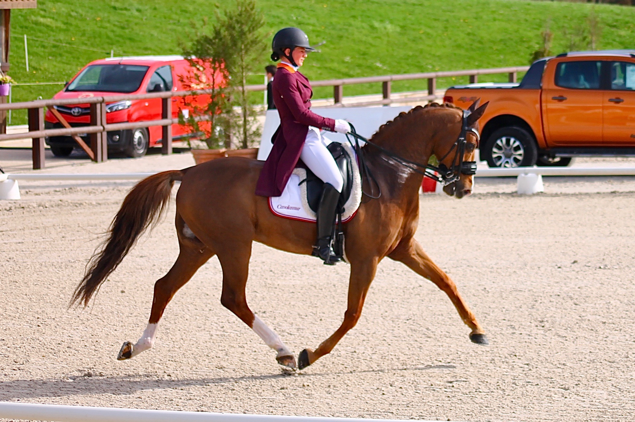 dressage cheval team Cavalassur