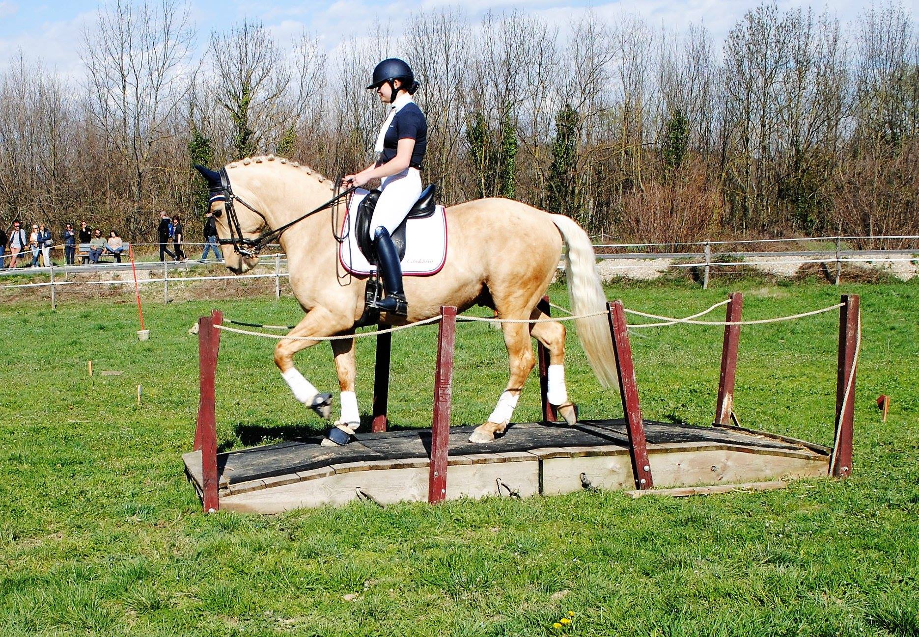 équitation de travail cheval