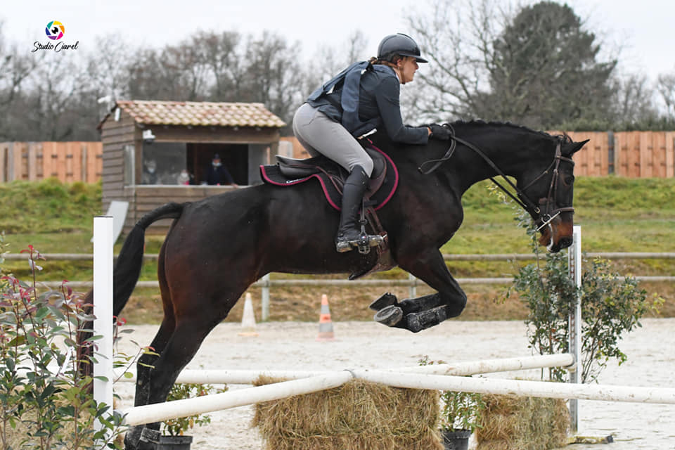 cheval hunter saut