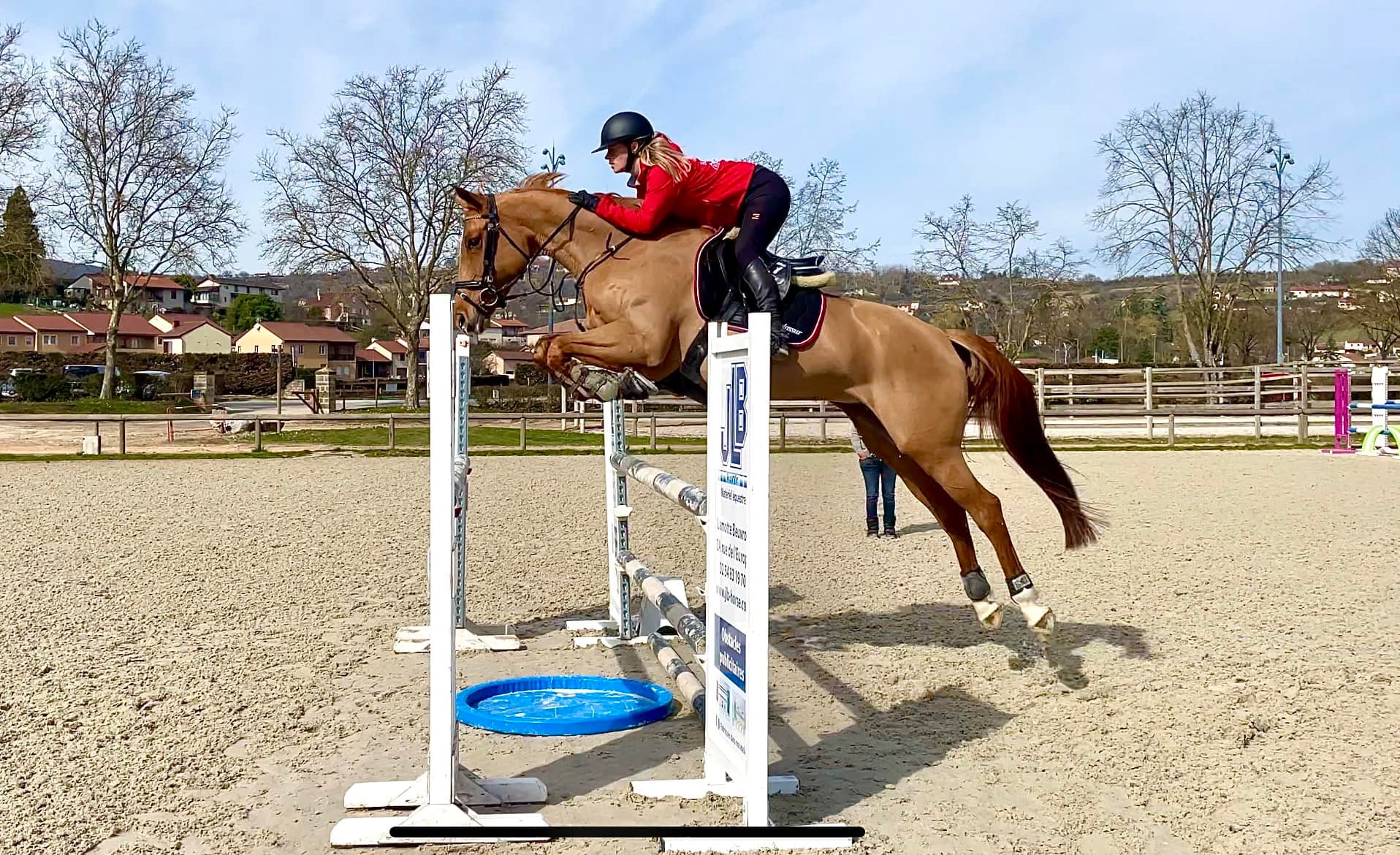 cheval jumping obstacle