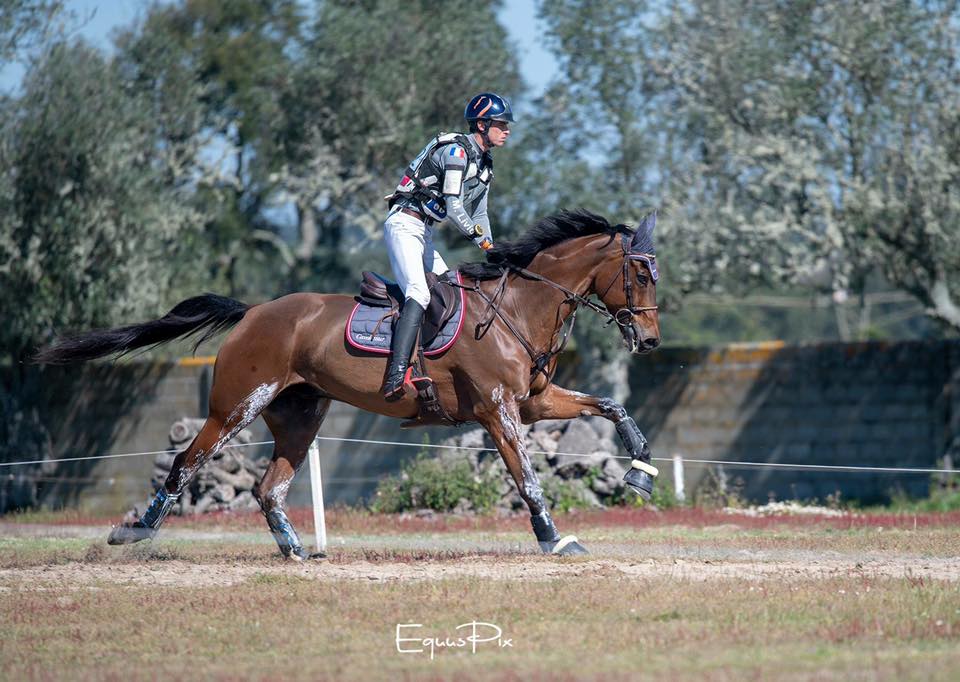cheval cross galop