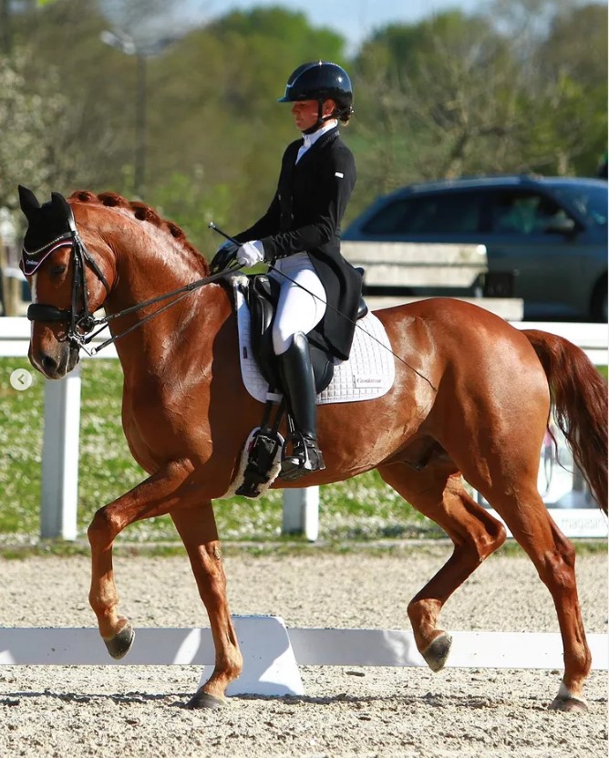 alizée roussel dressage équitation