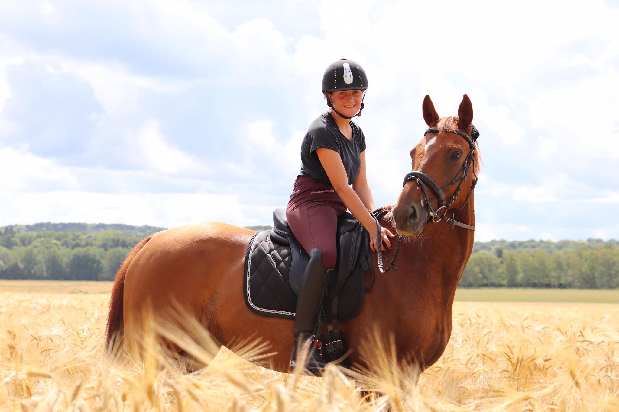 cheval champ cavalière