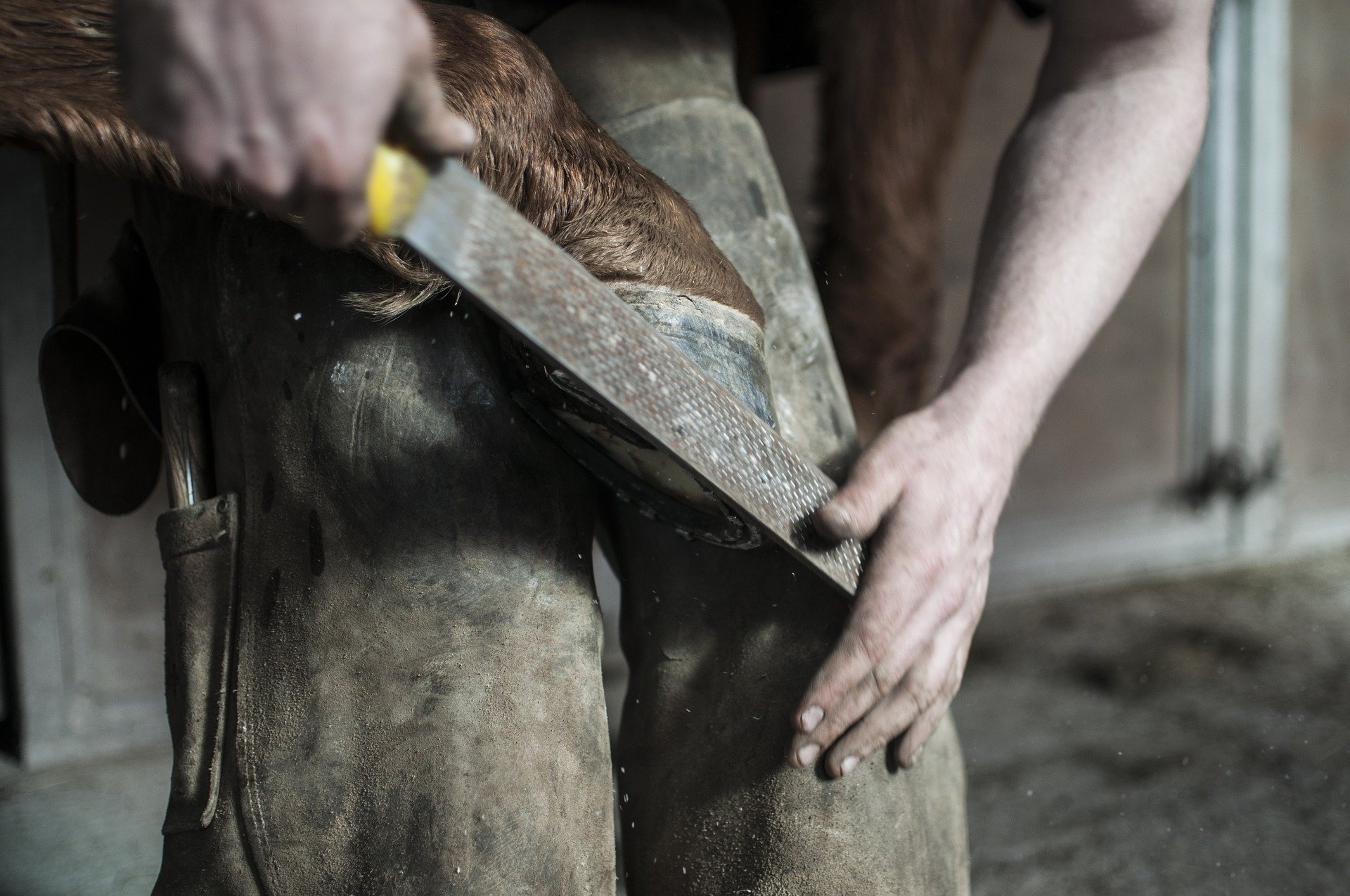 farrier marechal ferrant