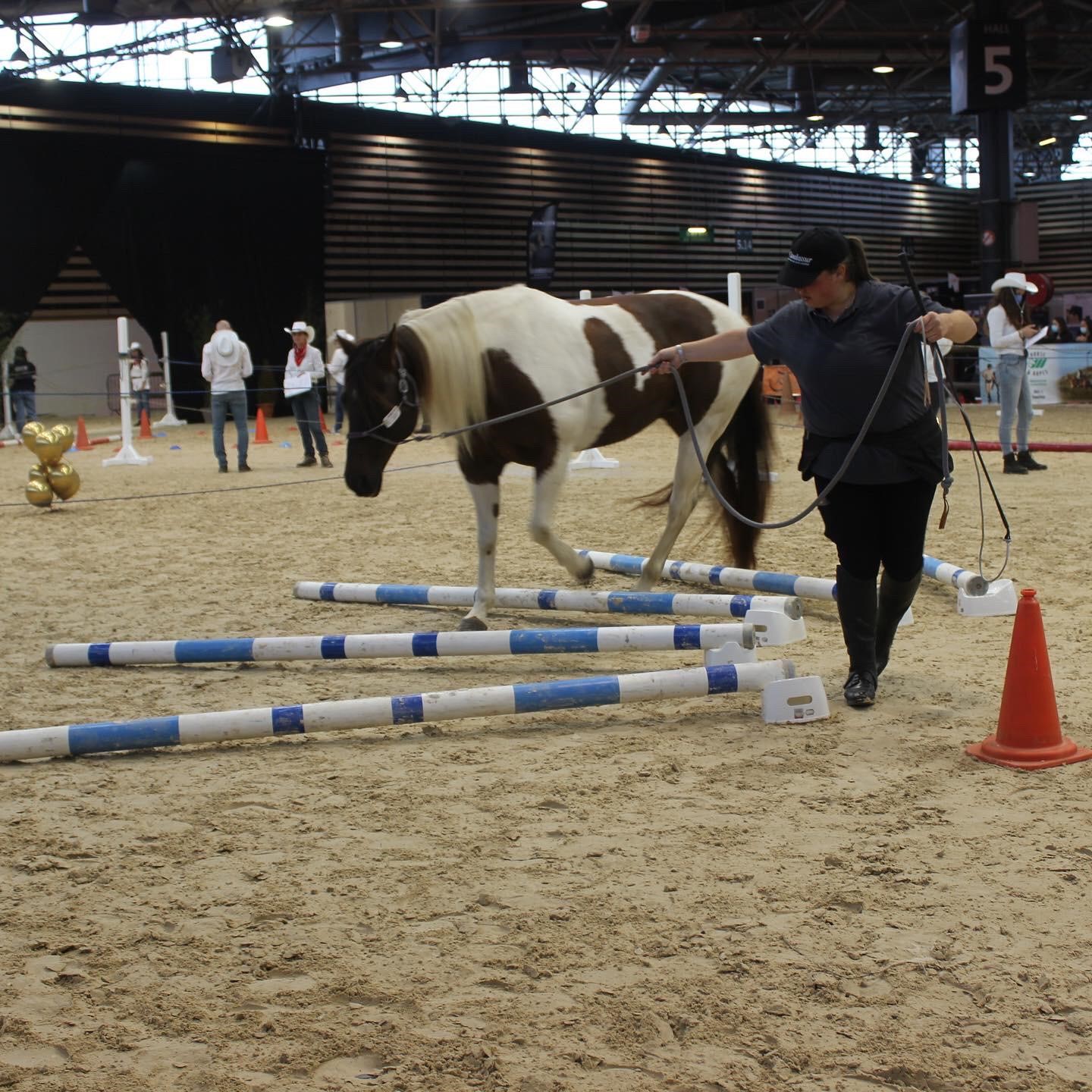 cheval equifeel equita lyon