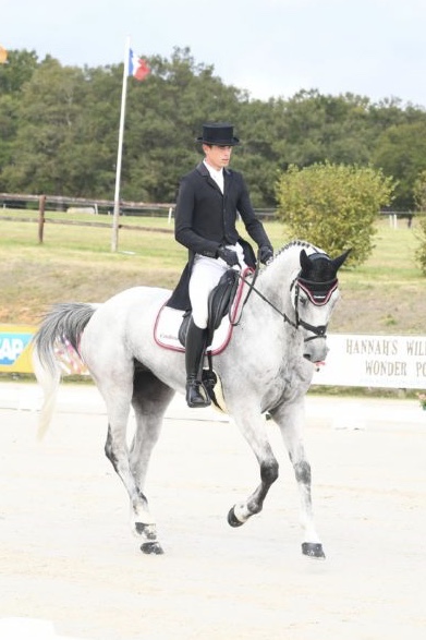 cheval dressage concours