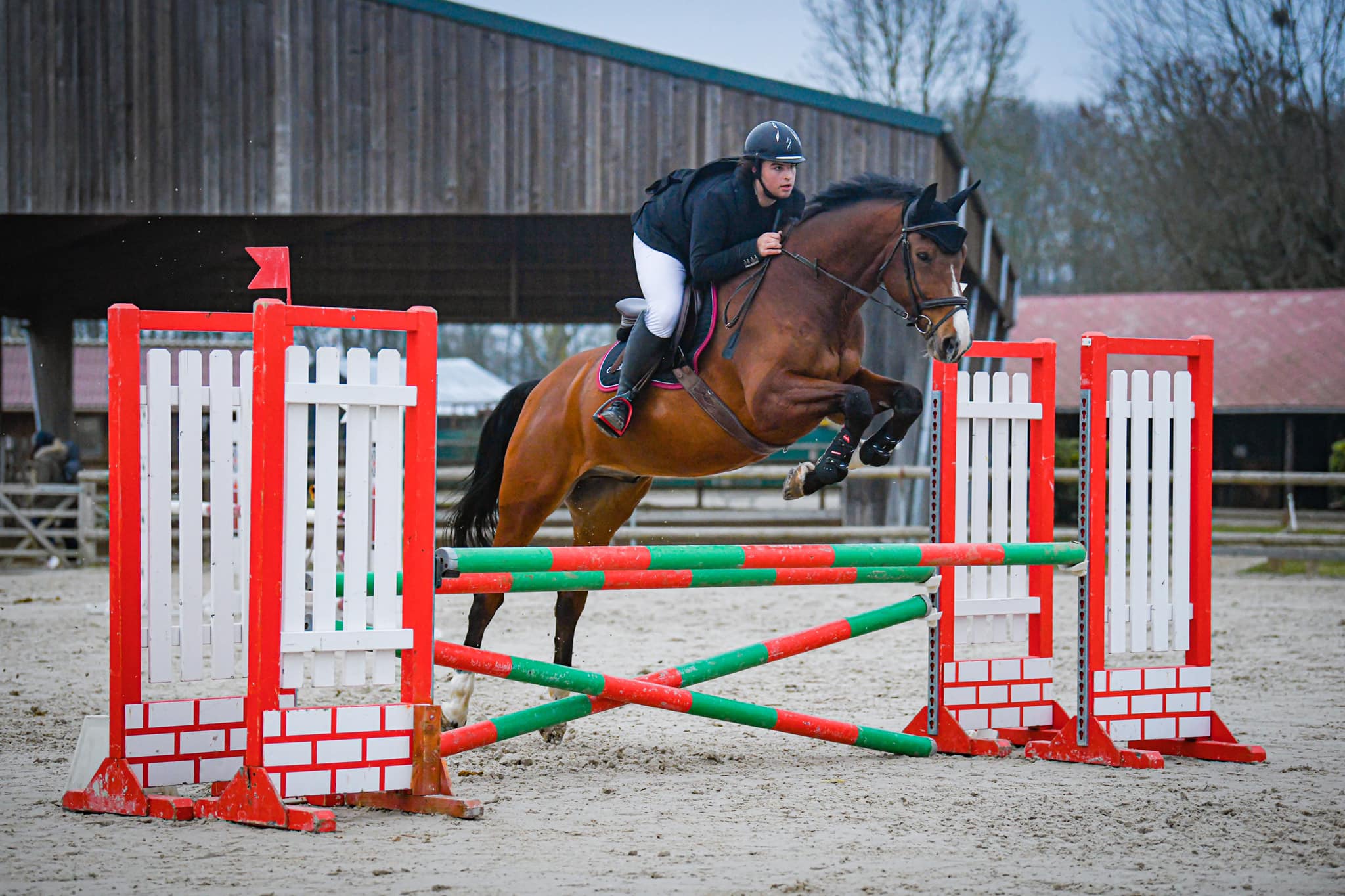 cheval jumping cso
