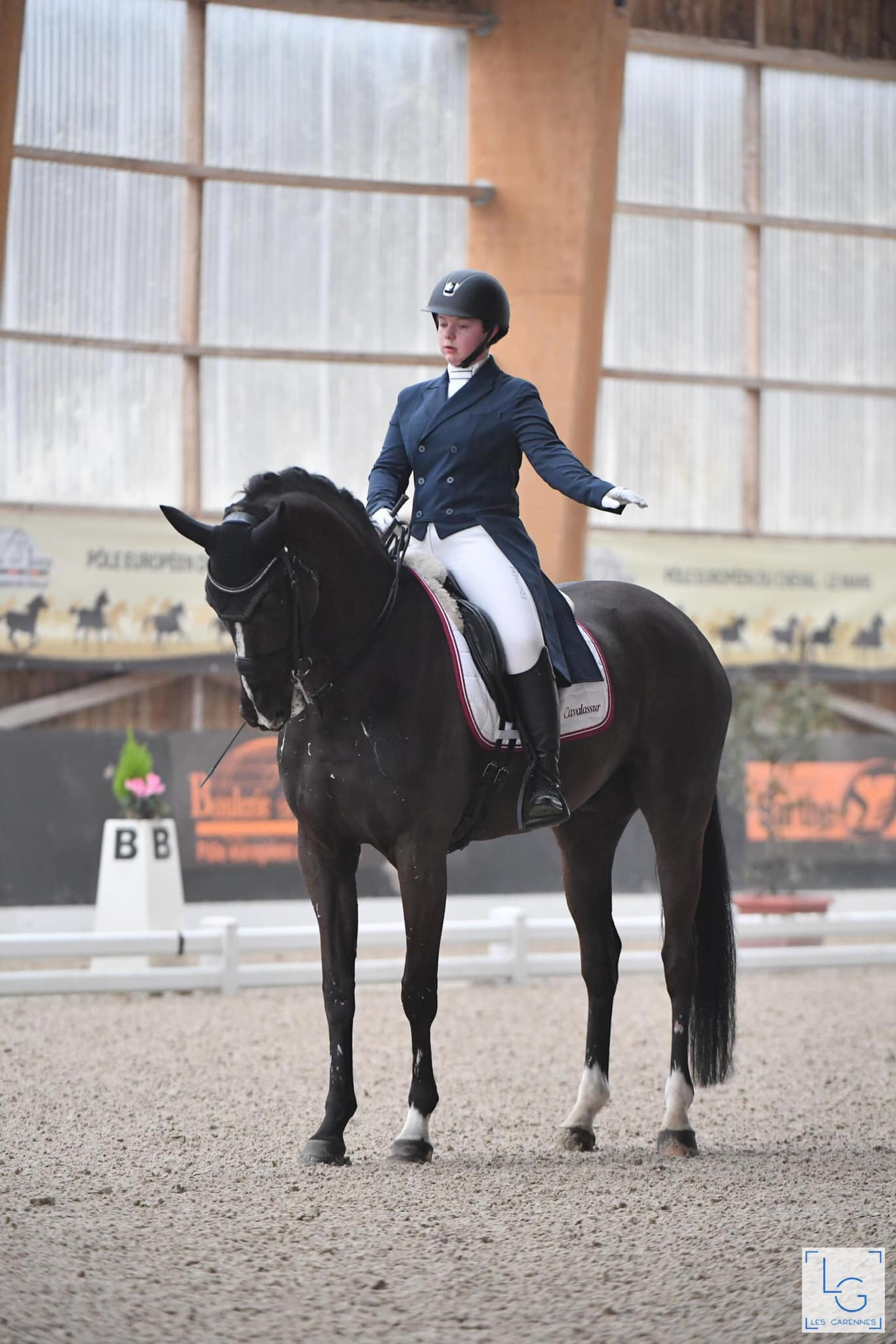 cheval dressage salut