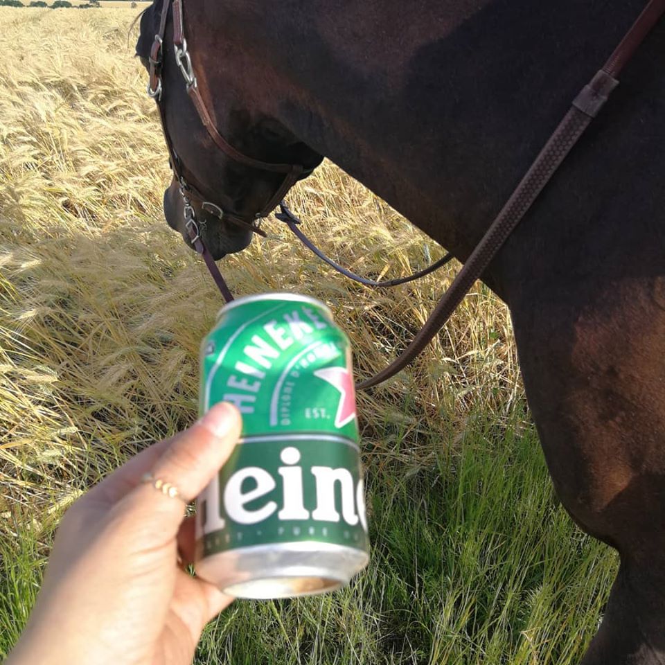 déchet cheval équitation