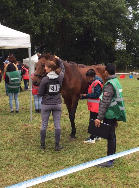 cheval endurance vétérinaire