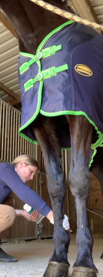 cheval massage tendon