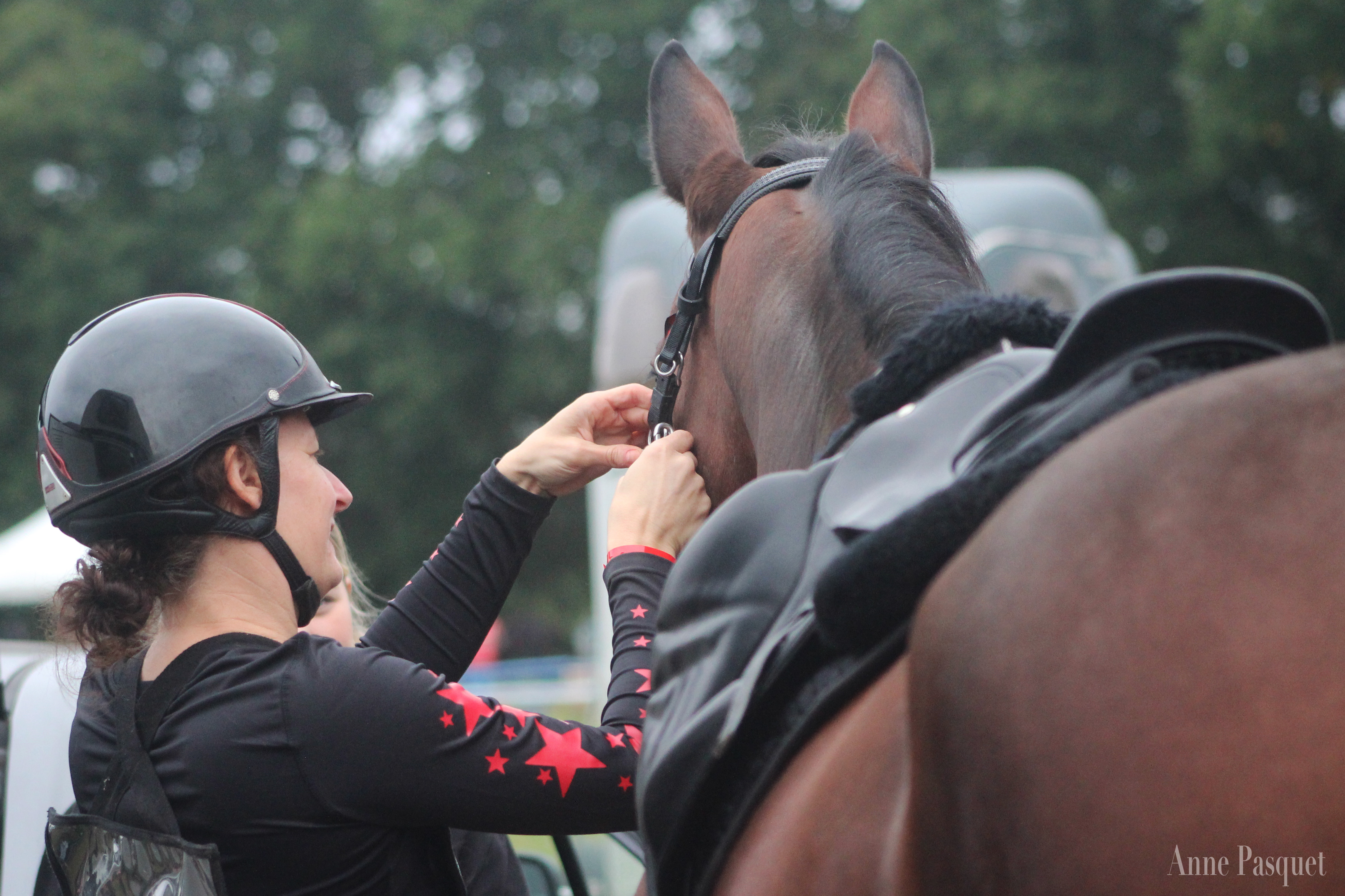 cheval endurance matériel