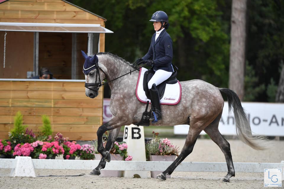 cheval galop dressage