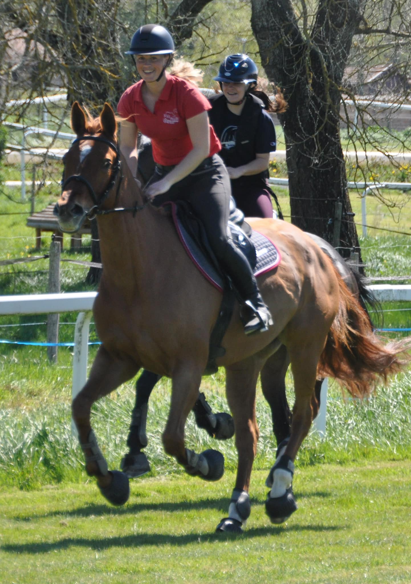 cheval galop balade