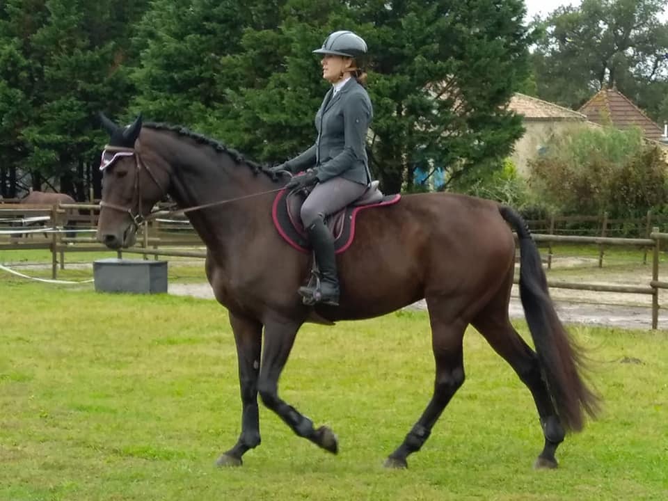 jument hunter cavalière