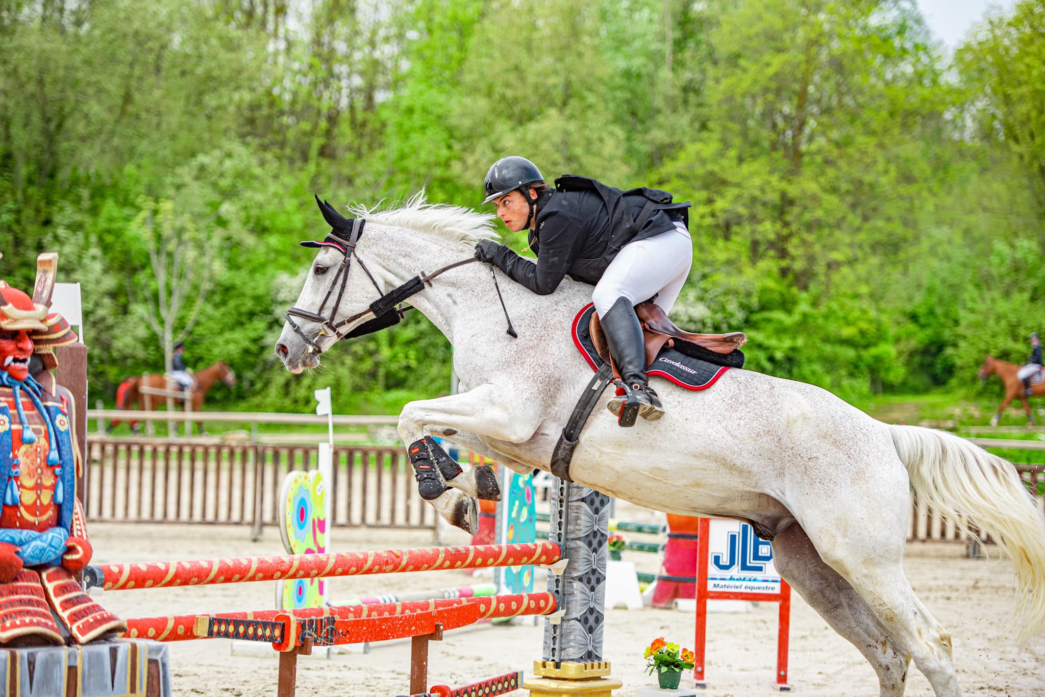 cheval jumping cso