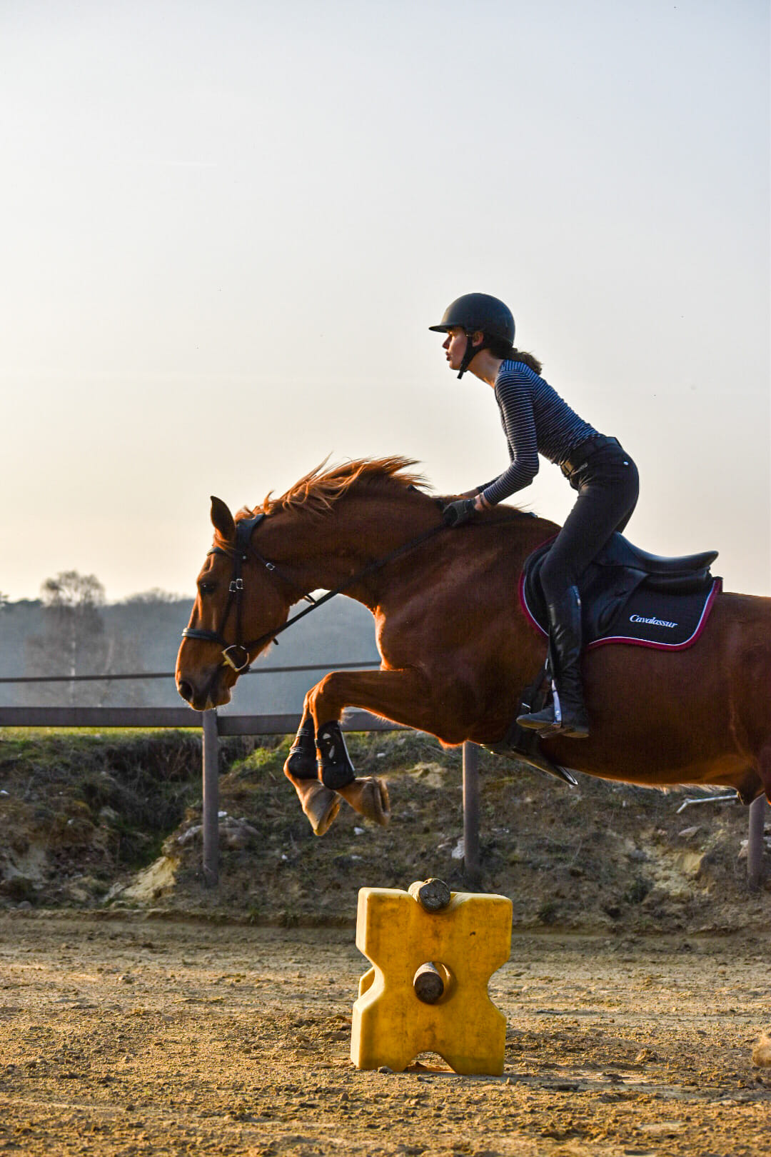 cheval cso jumping