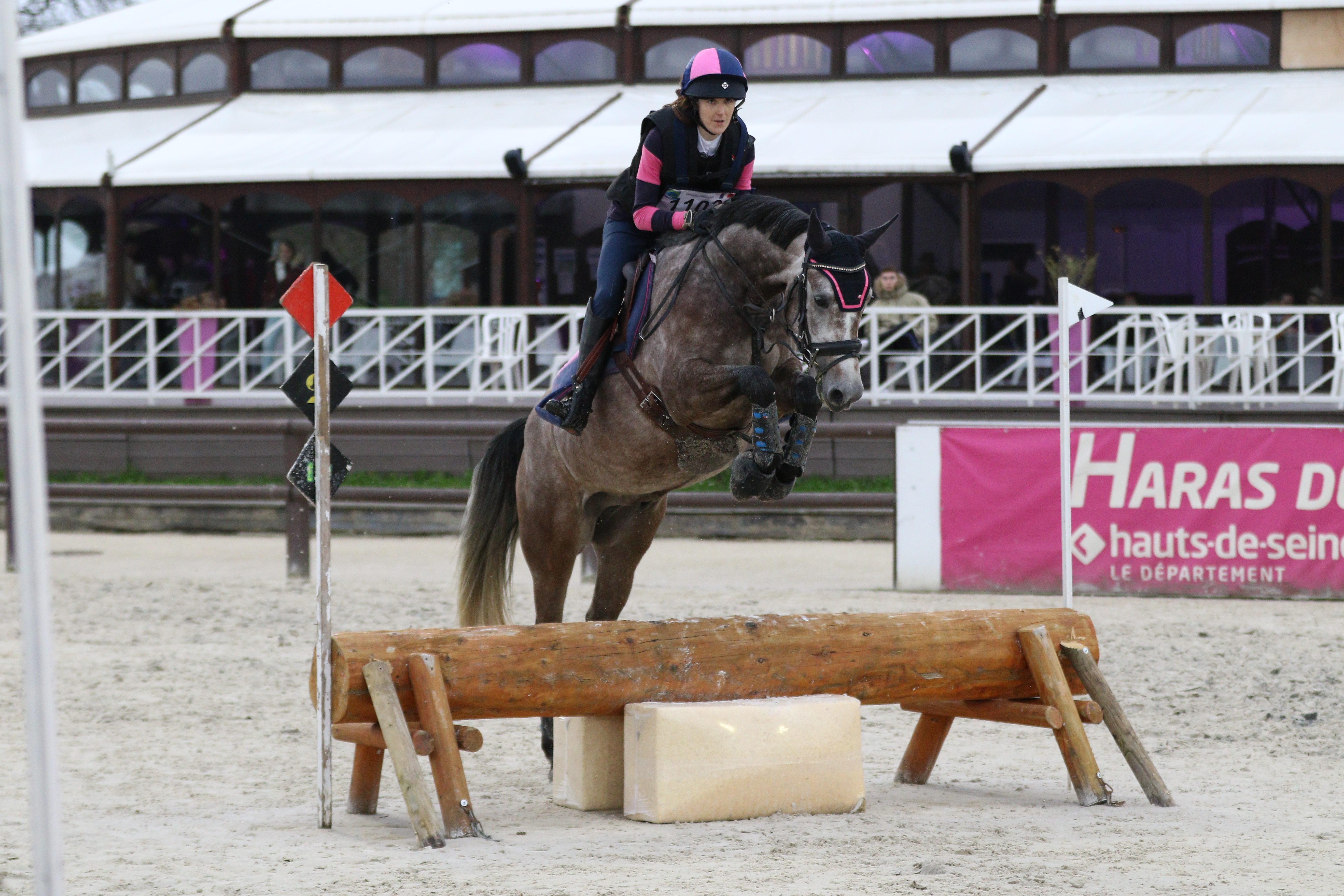 cheval cross saut