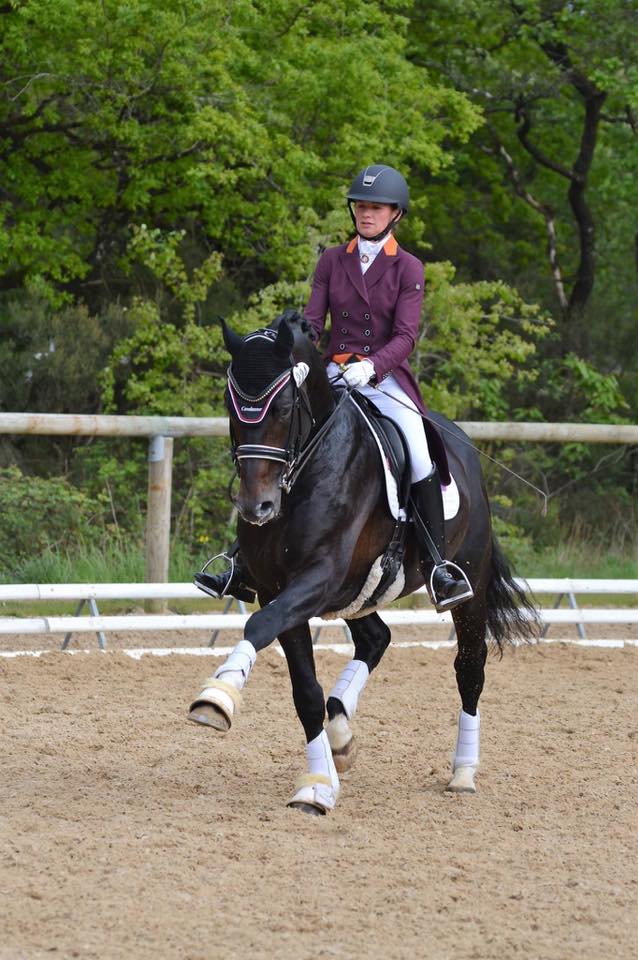 dressage cheval concours