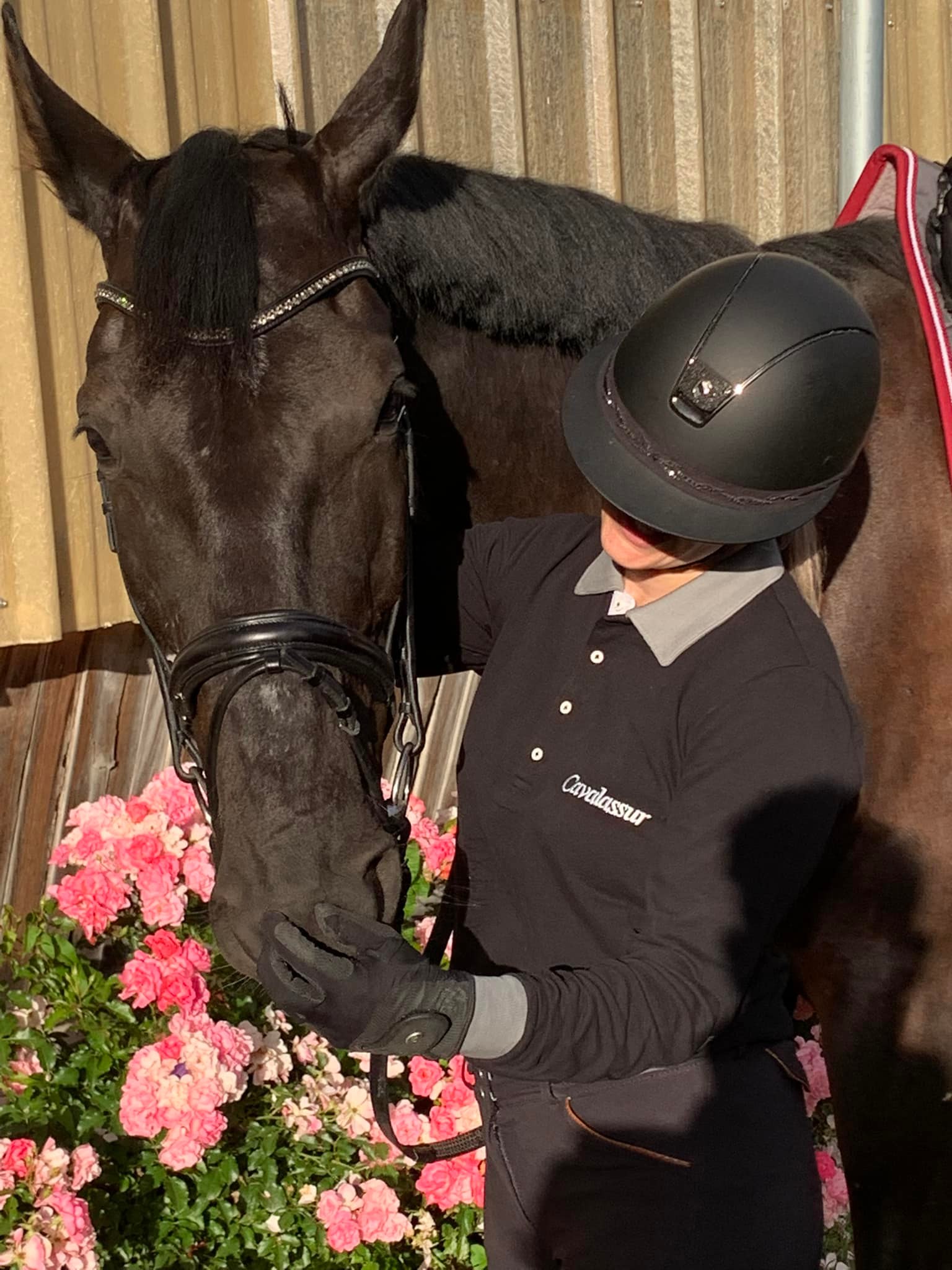 cheval cavalier fleurs