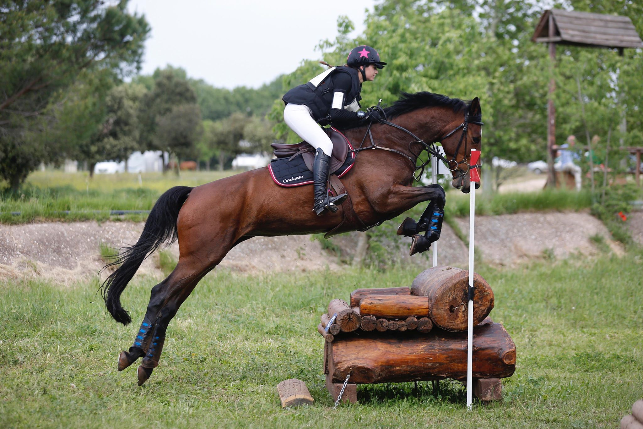 cross eventing équitation