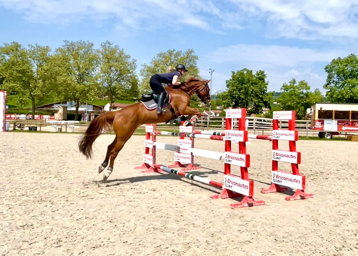 cheval obstacle jumping