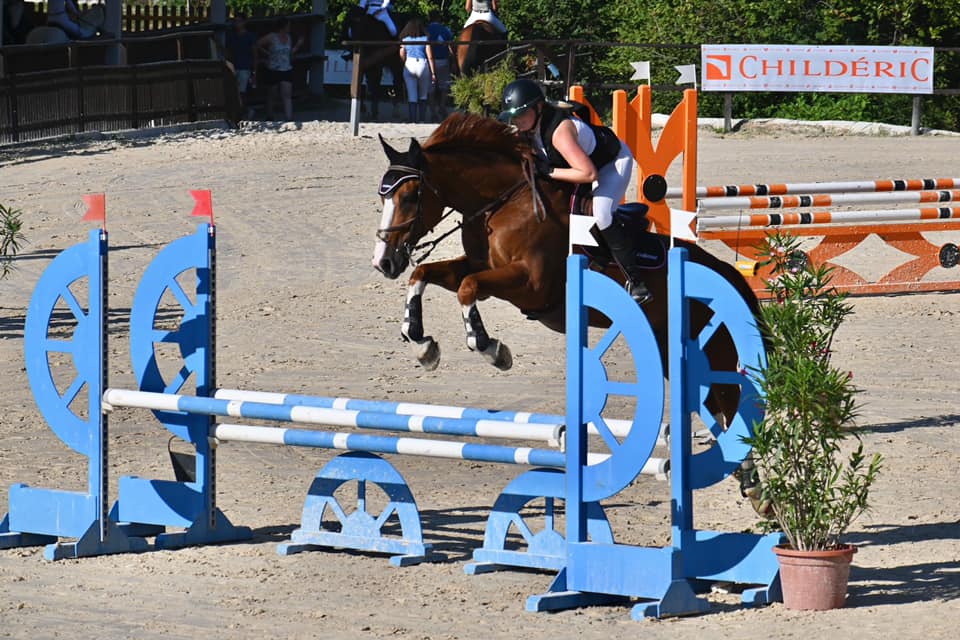 cheval obstacle concours